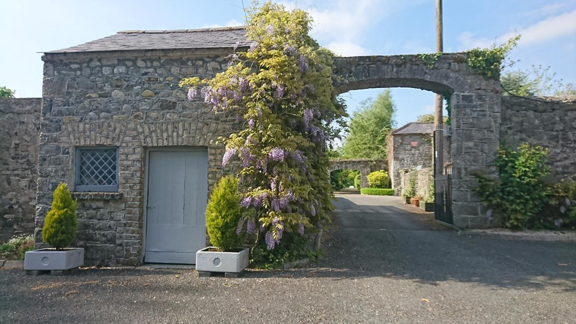 Leixlip Manor Hotel Bagian luar foto
